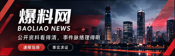 爆料网品牌主题